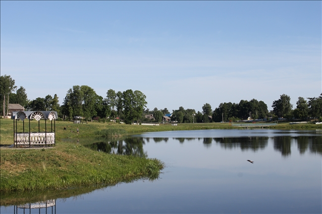Фото корма6
