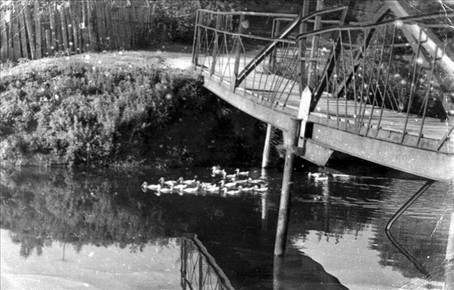 Фото корма9