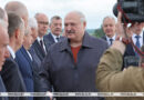 «Специалистов много, пока хромает организация». Лукашенко о кадровом эксперименте среди руководителей областей 