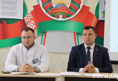 Единый день информирования под руководством председателя Кормянского райисполкома Дмитрия Шинкаренко прошёл в Кормянской ЦРБ