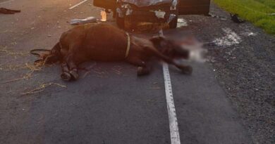 В Ровковичах на автодороге «Буда-Кошелёво – Чечерск – Краснополье» произошло ДТП