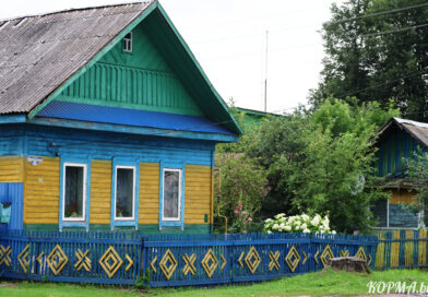 Узнали, чем живут жители агрогородка Литвиновичи Кормянского района