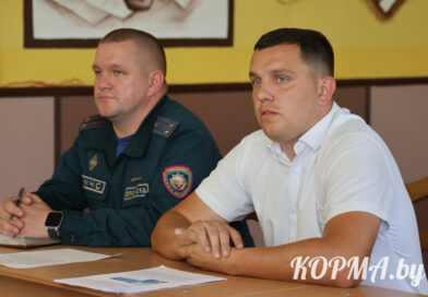 Информационно-пропагандистская группа Кормянского района провела встречу с коллективом Барсуковской средней школы