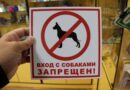 Ты туда не ходи, ты сюда ходи: куда не пустят с собаками и другими животными?