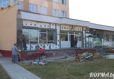 Новый вид услуги для пожилых людей появится в Корме