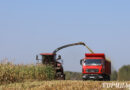 Аграрии Кормянщины приступили к массовой уборке кукурузы