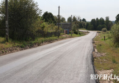 Новую дорогу проложили в Октябрёво