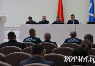 В Кормянском районе проходят комплексные учения по ЧС