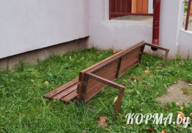 Сомнительное удобство