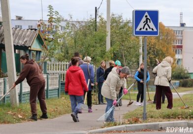 Республиканский субботник пройдет в Кормянском районе 25 октября