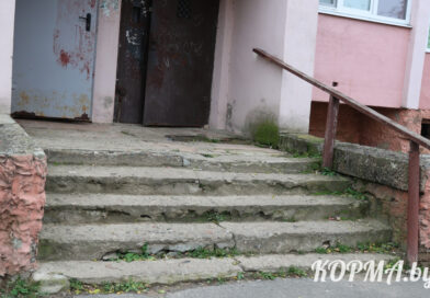 Когда сделают входную группу?