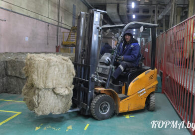 Новые рабочие места и рост инвестиций