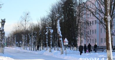 Стало известно, когда пройдет следующая перепись населения в Беларуси