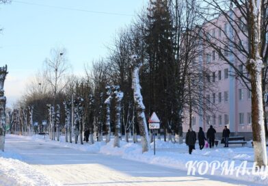 Стало известно, когда пройдет следующая перепись населения в Беларуси